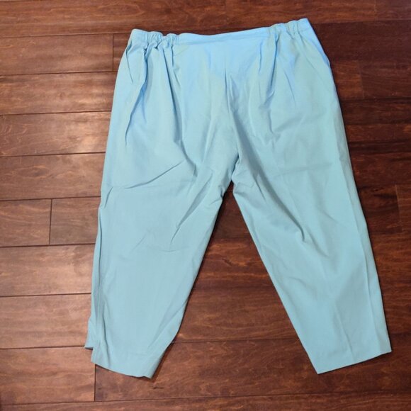 Lafayette 148 Manhattan Light Blue Cropped Pants 24W - Picture 5 of 7